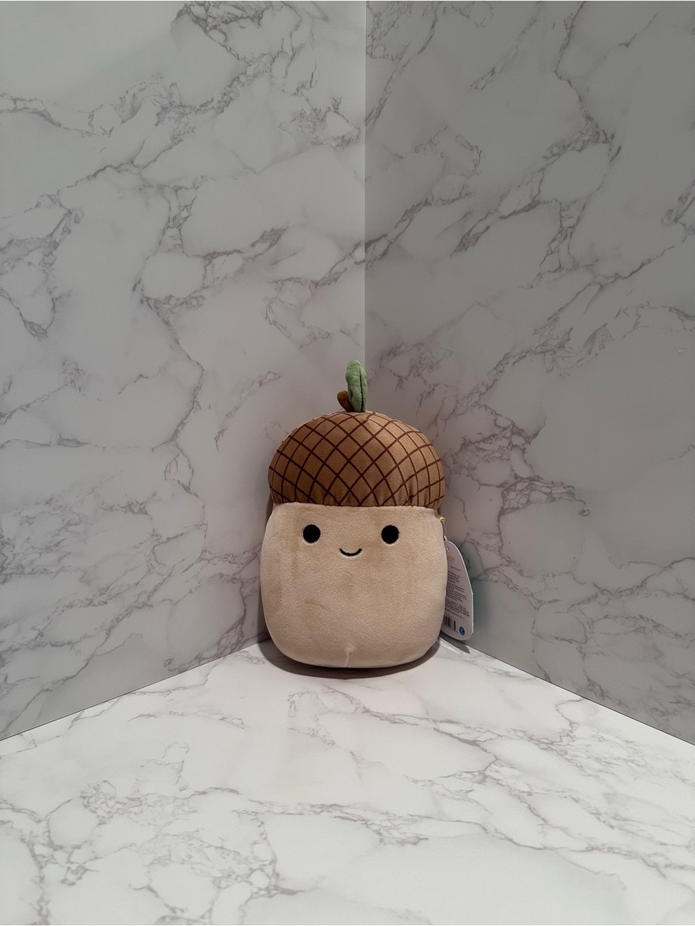 7in Mac Acorn Squishmallows - Fall Edition